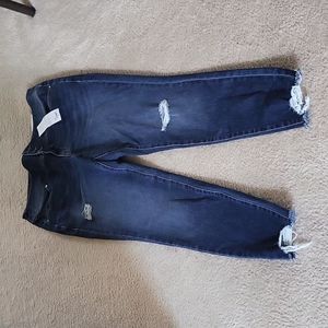 New Lane Bryant Jeggings
